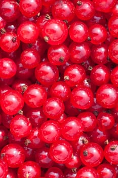 Natural background of berries of a red currant