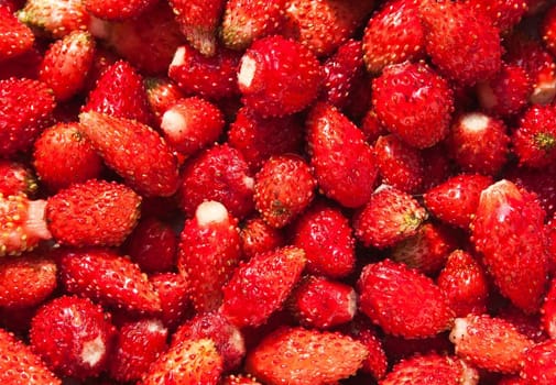 Lots of strawberries arranged as the background