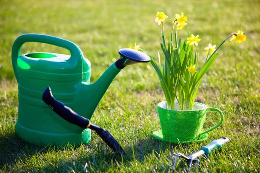 Gardening tools, watering can, flowers on grass in sunlight