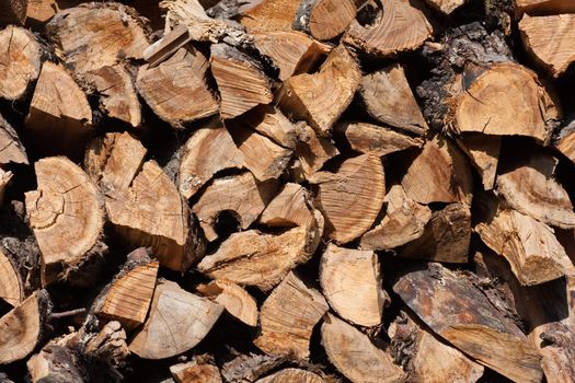 Firewood stacked in a woodpile