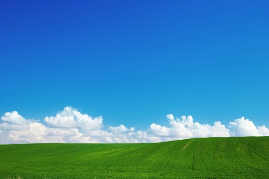 Green summer landscape with blue sky and puffy clouds