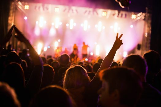 Crowds of people having fun on a music concert