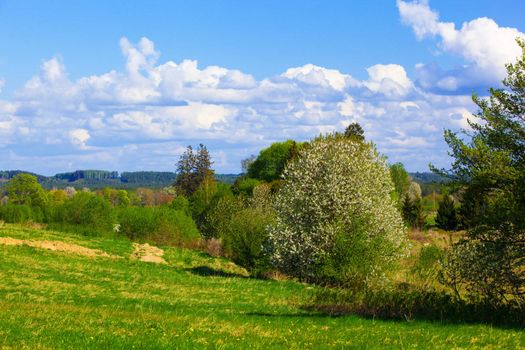 Rural spring landscape with blue sky and puffy clouds