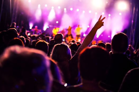 Crowds of people having fun on a music concert