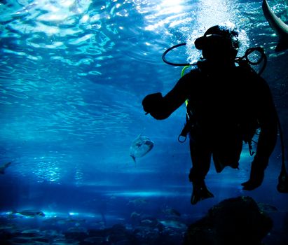Diving in the ocean. Diver silhouette