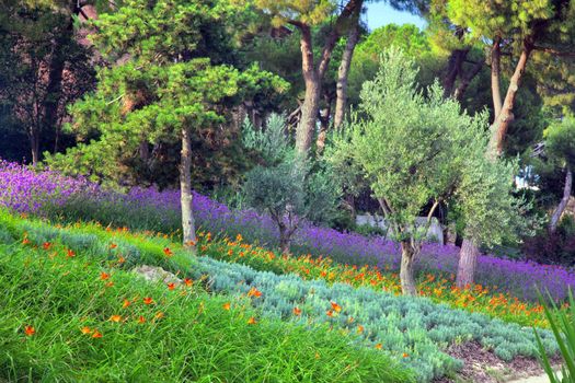 Colorful spring summer park with flowers, green grass and trees