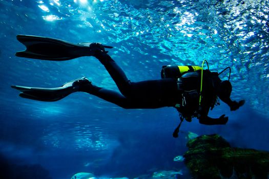 Diving in the ocean. Diver silhouette