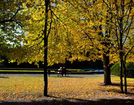 Colorful fall autumn park with falling leaves from trees