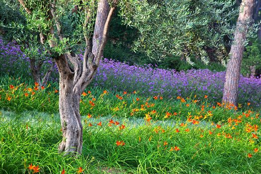 Colorful spring summer park with flowers, green grass and trees