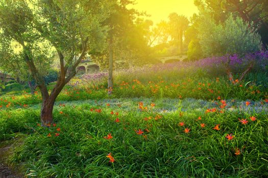 Colorful spring summer park with flowers, green grass and trees