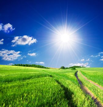 Summer rural landscape with sunny blue sky