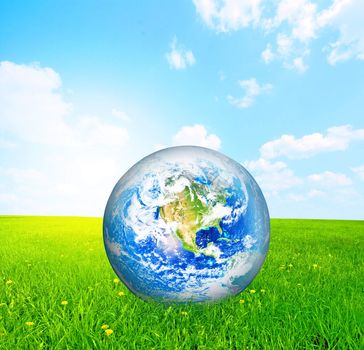 Earth globe on green grass conceptual