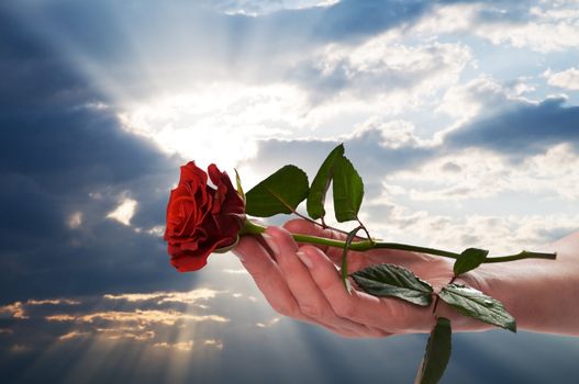 Holding red rose in a romantic scenery, sunset sky. Valentine Day, love, religion concepts.