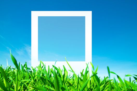 Blank photo on nature background in grass. 