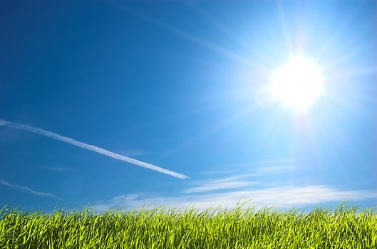 Fresh green grass on bright blue sunny sky background