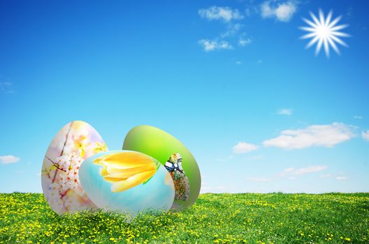 Colorful easter eggs on fresh spring grass over blue sky