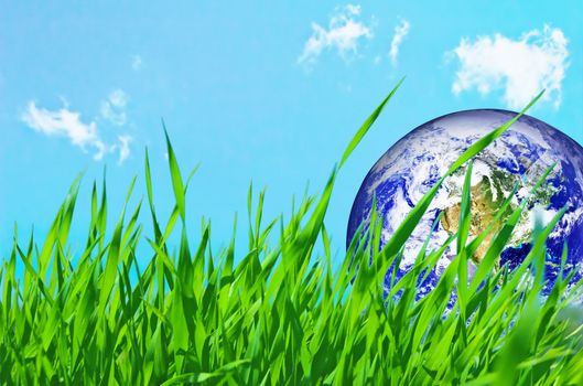 Earth globe in green grass conceptual