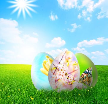 Colorful easter eggs on fresh grass over blue sky