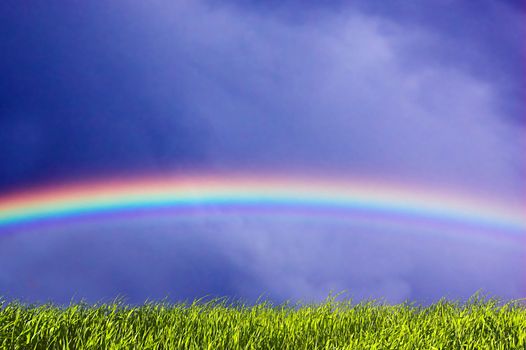 Fresh green grass on sky with beautiful rainbow. Version 2