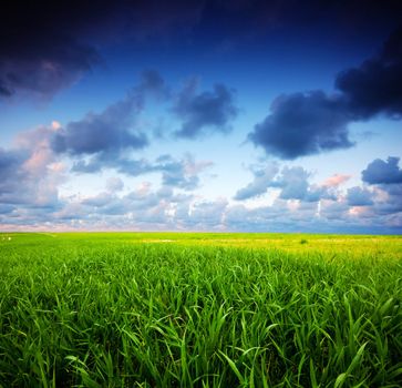 Stormy summer landscape. Green field and beautiful sky