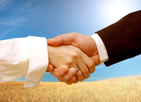 Business handshake on field background