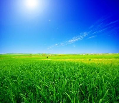 Rural summer landscape. Green meadow and clear blue sky