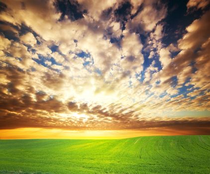Colorful sunset over green grass field