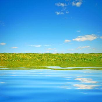 Beautiful landscape. Clear water, fresh meadow and blue sky