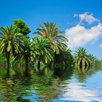 Tropical exotic jungle idyllic view, abstract water