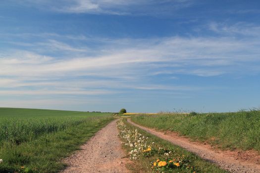 dirt track in rural landscape, germany