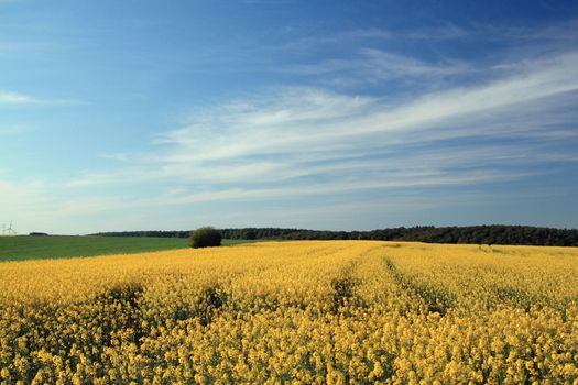 rural landscape near bad arolsen, hesse, germany