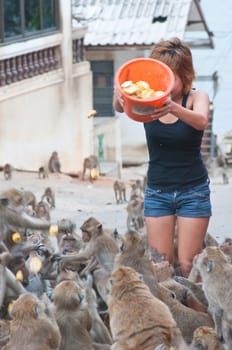woman give food many monkeys