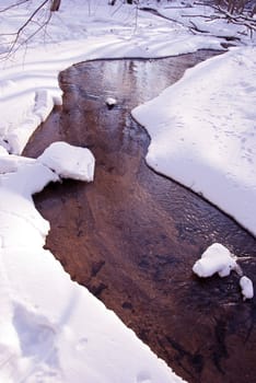 Flowing forest stream water during winter. Coast covered with snow but water not freeze.