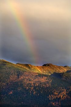 Montana Gold Rainbow Over Tamarack Trees Fall Missoula Montana