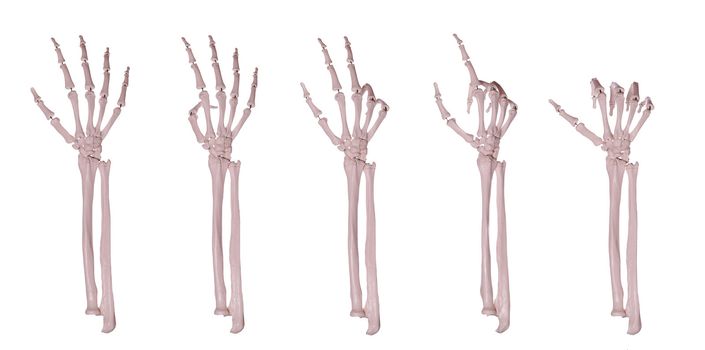 skeleton hands counting 1-5