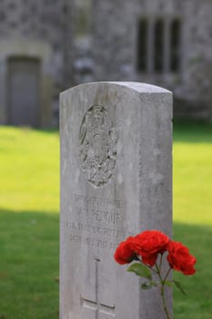 A memorial head stone with red roses growing around, in honour of those who lost their lives in world war one. Located near Salisbury in Wiltshire.