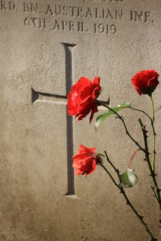 Close up detail of a memorial head stone with red roses growing around, in honour of those who lost their lives in world war one. Located near Salisbury in Wiltshire.