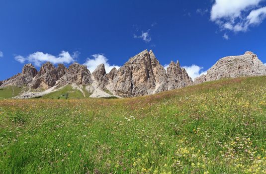 flowers and meadow beneath Cir Dolomites, Trentino Alto Adige, Italy