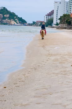 a horse on Hua Hin beach,Thailand