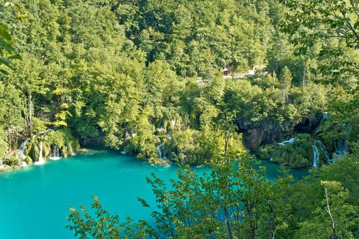 Pure nature of Plitvice lakes national park, Lika, Croatia