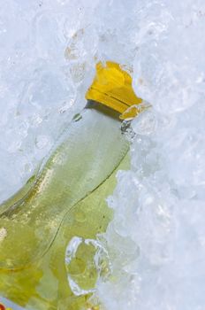 yellow mineral salts drink water bottle in ice cube