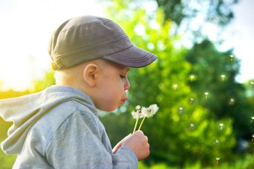 Cute child blowing dandelion in a sunny spring day