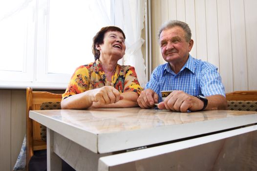 Happy senior couple in kitchen
