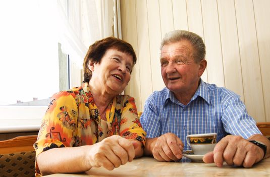 Happy senior couple in kitchen