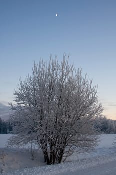russian winter