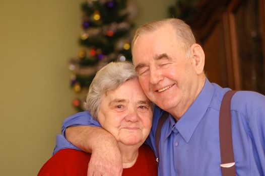 Elderly happy couple in Christmas scenery