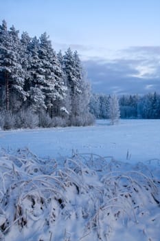 russian winter