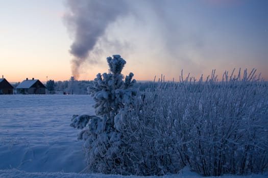 russian winter