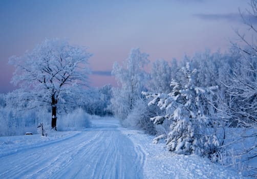russian winter