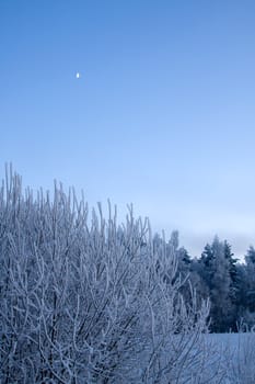 russian winter